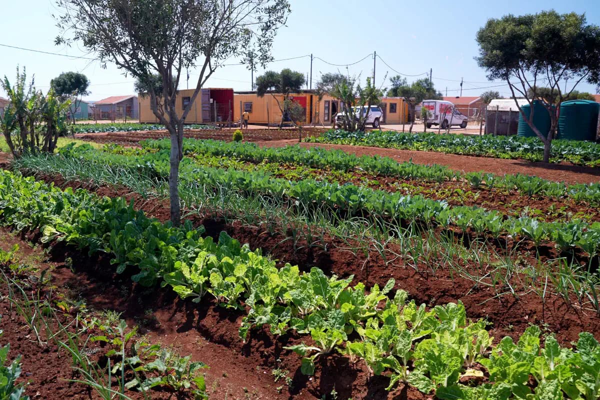 Regenerative Food Systems